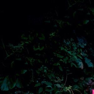 Meet your Posher, Deja